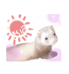 ここね日和（個別スタンプ：1）