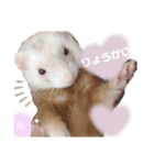 ここね日和（個別スタンプ：3）
