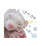 ここね日和（個別スタンプ：4）