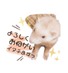 ここね日和（個別スタンプ：8）