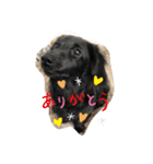 LON＆MEL晴れ時々モナ。日常編（個別スタンプ：5）