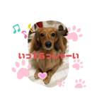 LON＆MEL晴れ時々モナ。日常編（個別スタンプ：16）