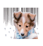とあるシェルティ子犬の日常（個別スタンプ：24）