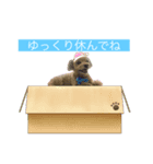 ゆいぴ〜（個別スタンプ：6）