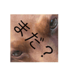 PecoPecoな日常生活2（個別スタンプ：11）