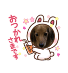 東 奈蝶のワンコスタンプ6。（個別スタンプ：4）