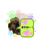 東 奈蝶のワンコスタンプ6。（個別スタンプ：8）