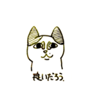 万年ねこ 返事（個別スタンプ：13）