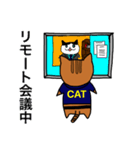 猫特別捜査官（個別スタンプ：23）