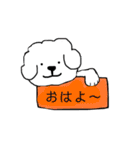 ビションフリーゼ メッセージ（個別スタンプ：1）
