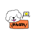 ビションフリーゼ メッセージ（個別スタンプ：3）
