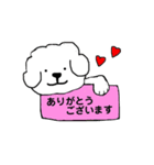 ビションフリーゼ メッセージ（個別スタンプ：5）