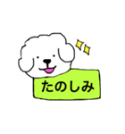 ビションフリーゼ メッセージ（個別スタンプ：9）
