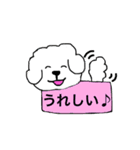ビションフリーゼ メッセージ（個別スタンプ：10）