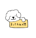 ビションフリーゼ メッセージ（個別スタンプ：12）