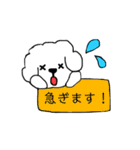 ビションフリーゼ メッセージ（個別スタンプ：13）