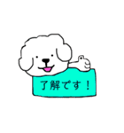 ビションフリーゼ メッセージ（個別スタンプ：25）