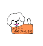 ビションフリーゼ メッセージ（個別スタンプ：26）