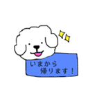 ビションフリーゼ メッセージ（個別スタンプ：30）