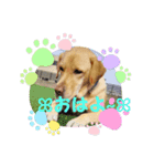 黄色いお方2（個別スタンプ：1）