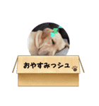 黄色いお方2（個別スタンプ：2）
