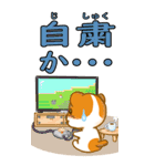 ねこいぬの日常スタンプ（個別スタンプ：19）