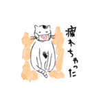 新しい生活様式で暮らす猫 1（個別スタンプ：20）