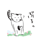 新しい生活様式で暮らす猫 2.（個別スタンプ：37）