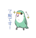 インコとお花のカラフル♪スタンプ（個別スタンプ：8）