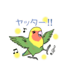 インコとお花のカラフル♪スタンプ（個別スタンプ：17）