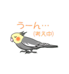 インコとお花のカラフル♪スタンプ（個別スタンプ：27）