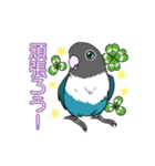 インコとお花のカラフル♪スタンプ（個別スタンプ：29）