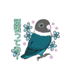 インコとお花のカラフル♪スタンプ（個別スタンプ：30）