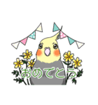 インコとお花のカラフル♪スタンプ（個別スタンプ：33）