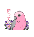 インコとお花のカラフル♪スタンプ（個別スタンプ：35）