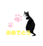 ゆっしースタンプ（個別スタンプ：5）