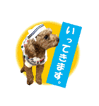 いぬみょん（個別スタンプ：5）
