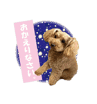 いぬみょん（個別スタンプ：6）