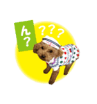 いぬみょん（個別スタンプ：8）