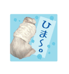 いぬみょん（個別スタンプ：10）