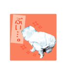 いぬみょん（個別スタンプ：11）
