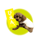 いぬみょん（個別スタンプ：13）