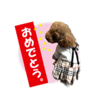 いぬみょん（個別スタンプ：14）