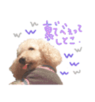 後ろ向きがちな犬を中心に！（個別スタンプ：3）