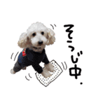 後ろ向きがちな犬を中心に！（個別スタンプ：10）