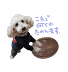 後ろ向きがちな犬を中心に！（個別スタンプ：13）