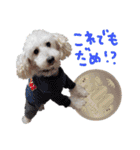 後ろ向きがちな犬を中心に！（個別スタンプ：14）