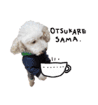 後ろ向きがちな犬を中心に！（個別スタンプ：16）