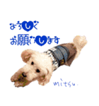 後ろ向きがちな犬を中心に！（個別スタンプ：20）