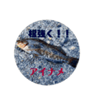 お魚祭り！！（個別スタンプ：4）